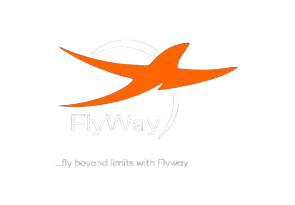 Flyway Logo